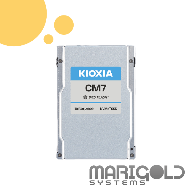 KIOXIA CM7-R 3.84TB U.3 G5 NVMe SSD KCMYXRUG3T84