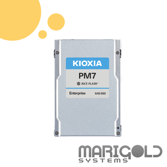 KIOXIA PM7-R 3.84TB 24G SAS SSD KPM7XRUG3T84